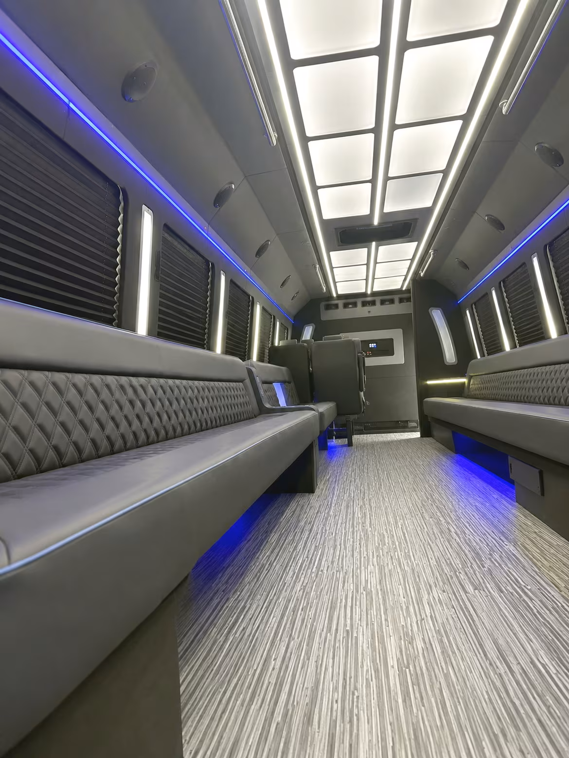 hamden night out party bus rental